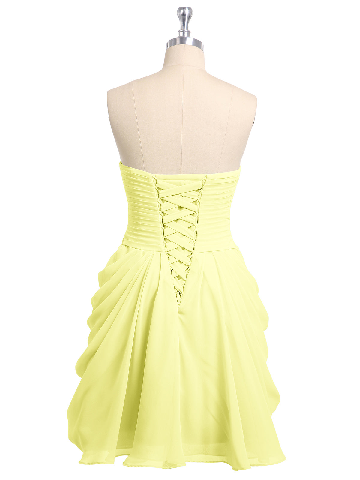 Daffodil